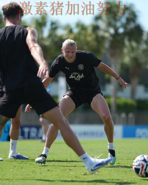 哈兰德与库里赛后评价形成鲜明反差