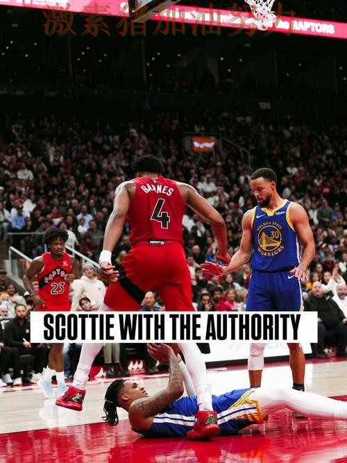 猛龙关键进球掀起争论